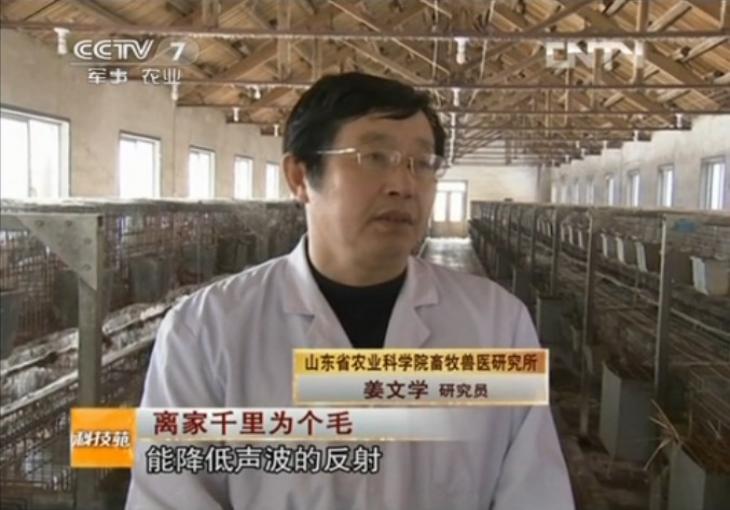 現(xiàn)代農業(yè)兔產(chǎn)業(yè)技術體系崗位科學家        姜文學 研究